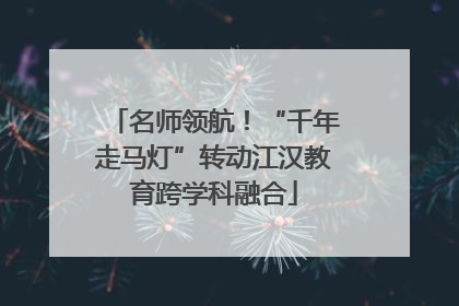 名师领航！“千年走马灯”转动江汉教育跨学科融合