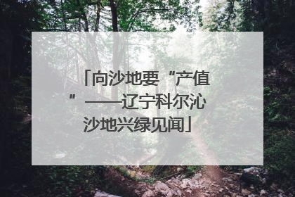 向沙地要“产值”——辽宁科尔沁沙地兴绿见闻