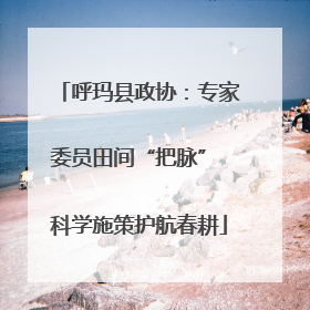 呼玛县政协：专家委员田间“把脉” 科学施策护航春耕