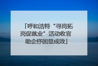 呼和浩特“寻岗拓岗促就业”活动收官 助企纾困显成效