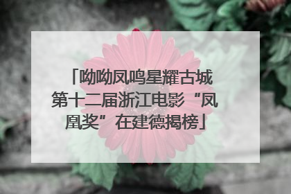 呦呦凤鸣星耀古城 第十二届浙江电影“凤凰奖”在建德揭榜