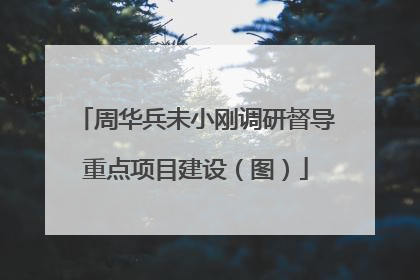周华兵未小刚调研督导重点项目建设（图）