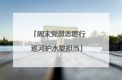 周末党员志愿行 巡河护水显担当