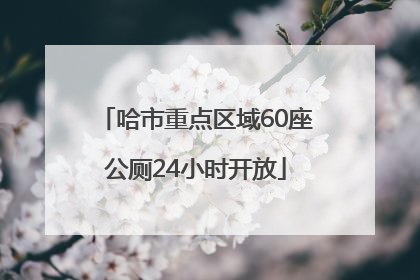 哈市重点区域60座公厕24小时开放