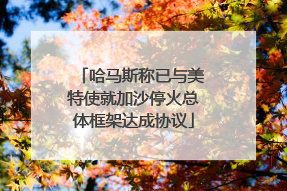 哈马斯称已与美特使就加沙停火总体框架达成协议