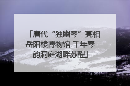 唐代“独幽琴”亮相岳阳楼博物馆 千年琴韵洞庭湖畔苏醒
