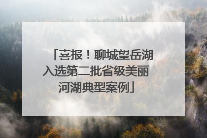 喜报！聊城望岳湖入选第二批省级美丽河湖典型案例