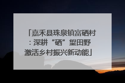嘉禾县珠泉镇富硒村：深耕“硒”望田野 激活乡村振兴新动能