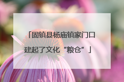 固镇县杨庙镇家门口建起了文化“粮仓”