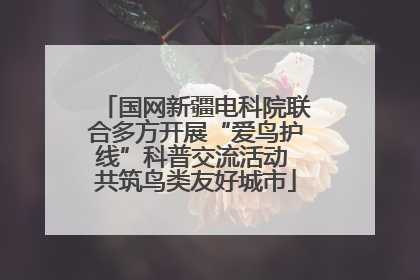 国网新疆电科院联合多方开展“爱鸟护线”科普交流活动 共筑鸟类友好城市