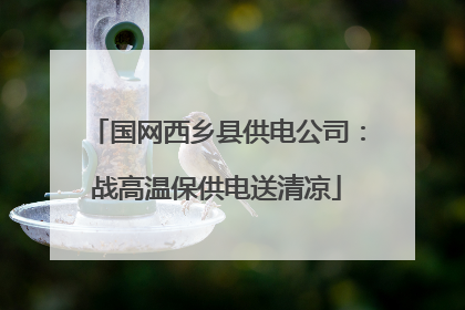国网西乡县供电公司：战高温保供电送清凉