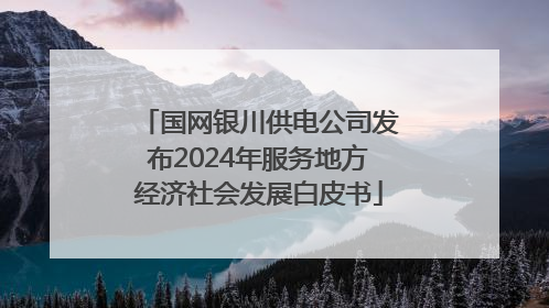 国网银川供电公司发布2024年服务地方经济社会发展白皮书
