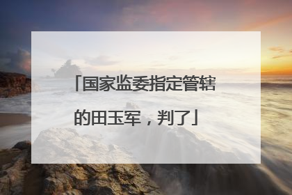 国家监委指定管辖的田玉军，判了