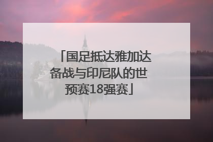国足抵达雅加达备战与印尼队的世预赛18强赛