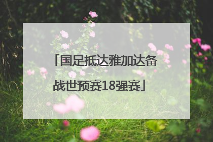 国足抵达雅加达备战世预赛18强赛
