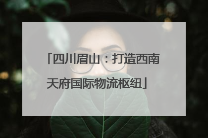 四川眉山：打造西南天府国际物流枢纽