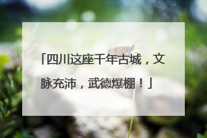 四川这座千年古城，文脉充沛，武德爆棚！
