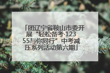 团辽宁省鞍山市委开展“轻松备考·12355与你同行”中考减压系列活动第六期