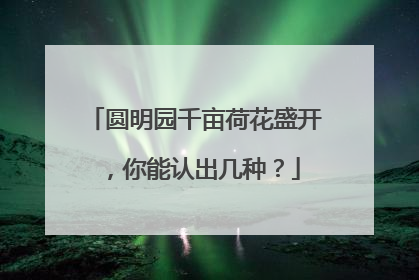 圆明园千亩荷花盛开，你能认出几种？