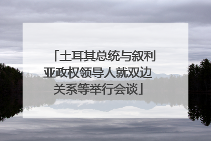 土耳其总统与叙利亚政权领导人就双边关系等举行会谈