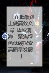 在低碳路上做高效文章 盐城滨海：聚焦绿色低碳探索高质量发展