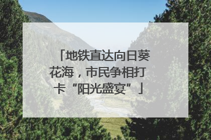 地铁直达向日葵花海，市民争相打卡“阳光盛宴”