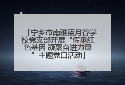 宁乡市南雅蓝月谷学校党支部开展“传承红色基因 凝聚奋进力量”主题党日活动