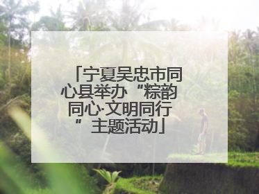 宁夏吴忠市同心县举办“粽韵同心·文明同行”主题活动