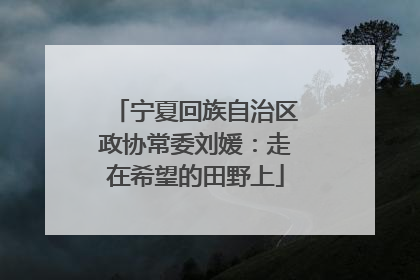 宁夏回族自治区政协常委刘媛：走在希望的田野上