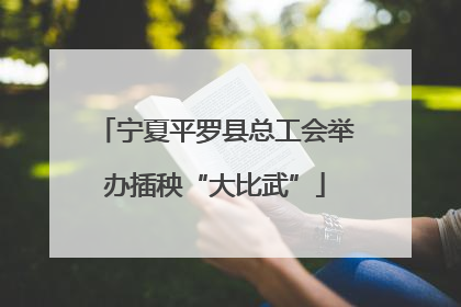 宁夏平罗县总工会举办插秧“大比武”