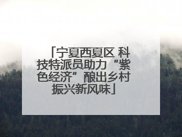 宁夏西夏区 科技特派员助力“紫色经济”酿出乡村振兴新风味