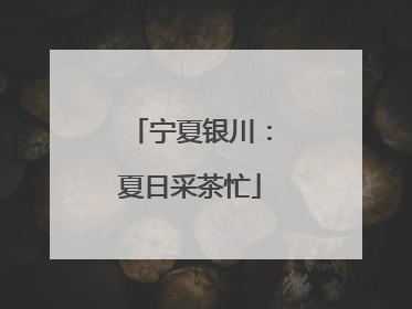 宁夏银川：夏日采茶忙
