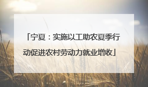 宁夏：实施以工助农夏季行动促进农村劳动力就业增收