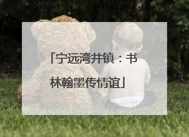 宁远湾井镇：书林翰墨传情谊