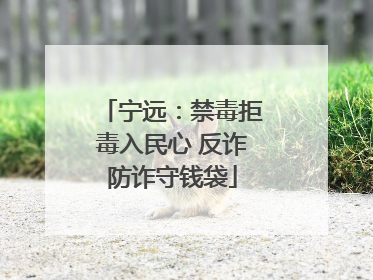 宁远：禁毒拒毒入民心 反诈防诈守钱袋