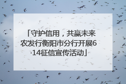 守护信用，共赢未来 农发行衡阳市分行开展6·14征信宣传活动
