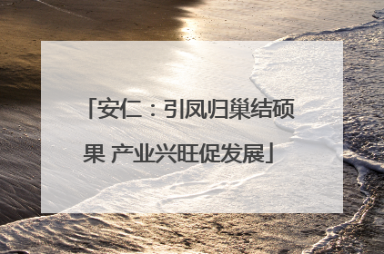 安仁：引凤归巢结硕果 产业兴旺促发展