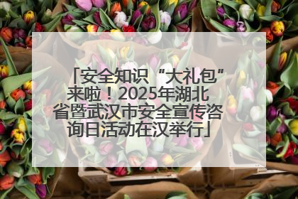 安全知识“大礼包”来啦！2025年湖北省暨武汉市安全宣传咨询日活动在汉举行