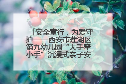 安全童行，为爱守护——西安市莲湖区第九幼儿园“大手牵小手”沉浸式亲子安全体验活动