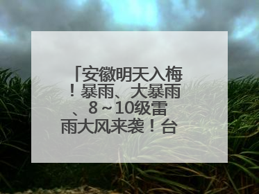 安徽明天入梅！暴雨、大暴雨、8～10级雷雨大风来袭！台风也有消息了