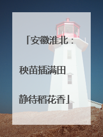 安徽淮北：秧苗插满田 静待稻花香