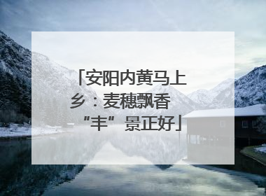 安阳内黄马上乡：麦穗飘香 “丰”景正好