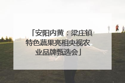 安阳内黄：梁庄镇特色蔬果亮相央视农业品牌甄选会