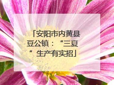 安阳市内黄县豆公镇：“三夏”生产有实招