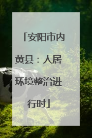 安阳市内黄县：人居环境整治进行时