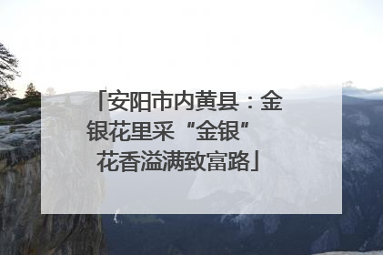 安阳市内黄县：金银花里采“金银” 花香溢满致富路