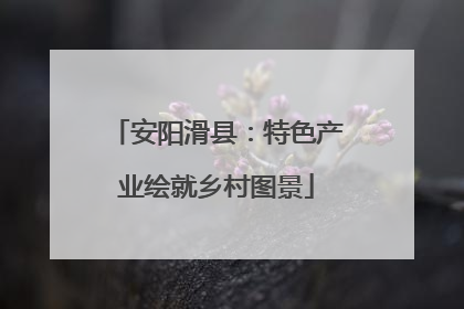安阳滑县：特色产业绘就乡村图景