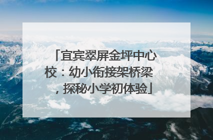 宜宾翠屏金坪中心校：幼小衔接架桥梁，探秘小学初体验