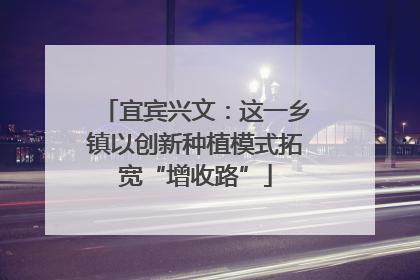宜宾兴文：这一乡镇以创新种植模式拓宽“增收路”