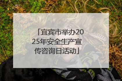 宜宾市举办2025年安全生产宣传咨询日活动